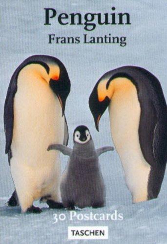 PostcardBook, Penguin (Postcardbooks)