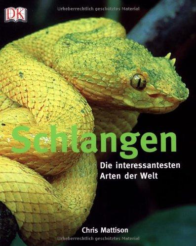 Schlangen: Die interessantesten Arten der Welt