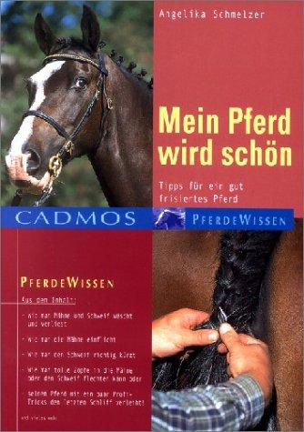 Mein Pferd wird schön: Tipps für ein gut frisiertes Pferd