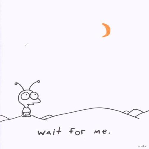 Wait for Me