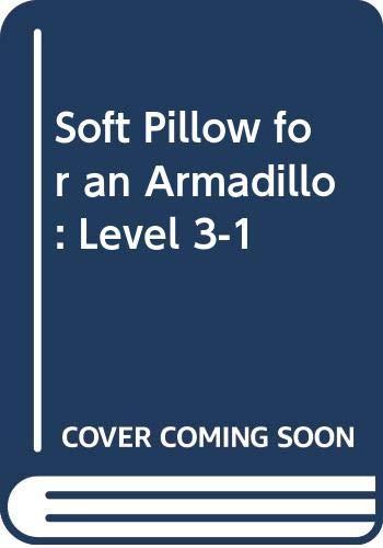 Soft Pillow for an Armadillo: Level 3-1