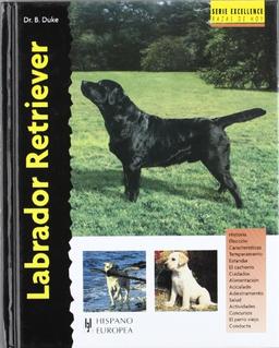 Labrador retriever (Excellence)