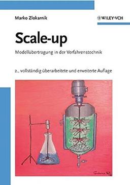 Scale-up: Modellübertragung in der Verfahrenstechnik: Modellubertragung in Der Verfahrenstechnik