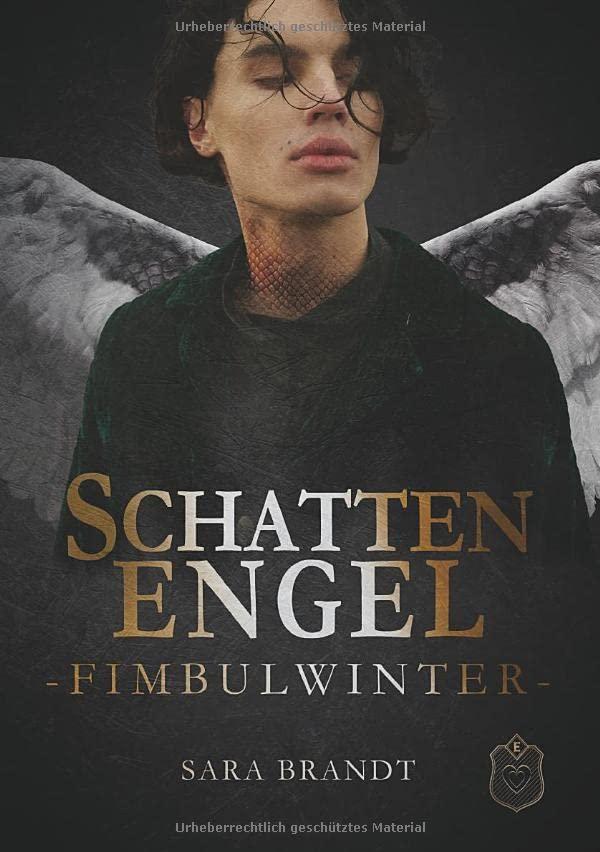 Schattenengel: Buch 4 - Fimbulwinter