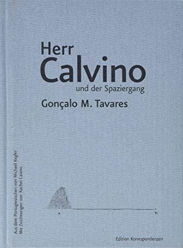 Herr Calvino und der Spaziergang