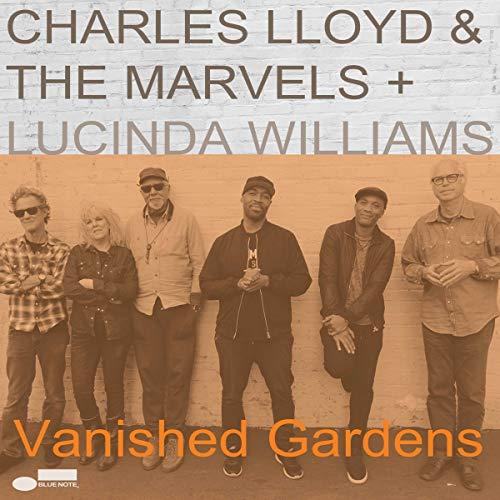 Vanished Gardens [Vinyl LP]