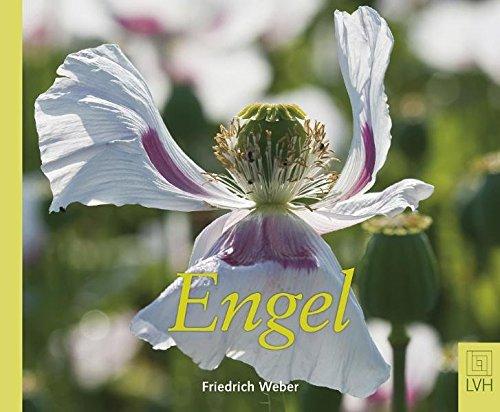 Engel