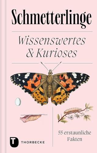 Schmetterlinge: Wissenswertes & Kurioses – 55 erstaunliche Fakten