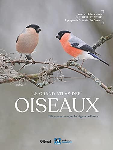 Le grand atlas des oiseaux : 150 espèces de toutes les régions de France