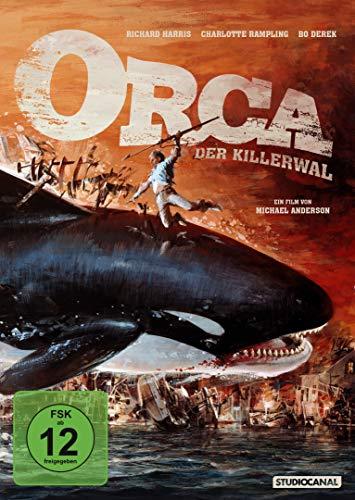 Orca, der Killerwal