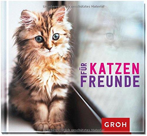 Für Katzenfreunde