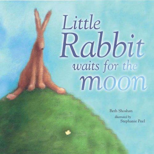 Little Rabbit Waits for the Moon (Mini Board Books)