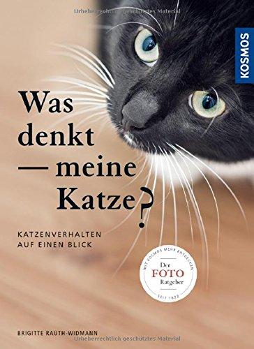 Was denkt meine Katze: Katzenverhalten auf einen Blick