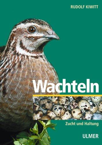 Wachteln. Zucht und Haltung