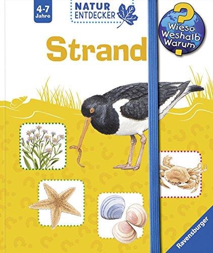 Wieso? Weshalb? Warum? Natur-Entdecker: Strand