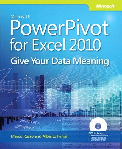 Microsoft Powerpivot for Excel 2010: Give Your Data Meaning