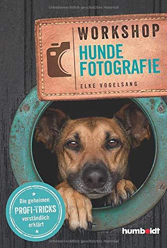 Workshop Hundefotografie: Die geheimen Profi-Tricks verständlich erklärt