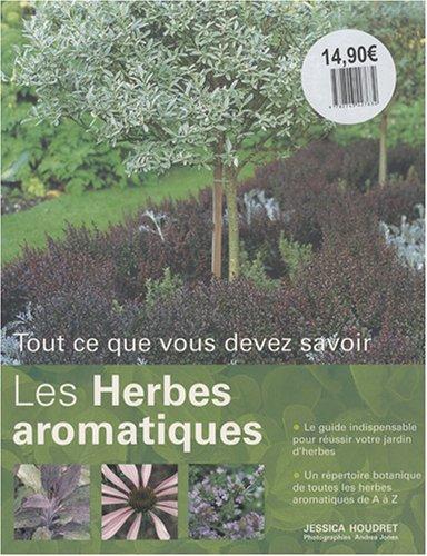 Les herbes aromatiques : tout ce que vous devez savoir