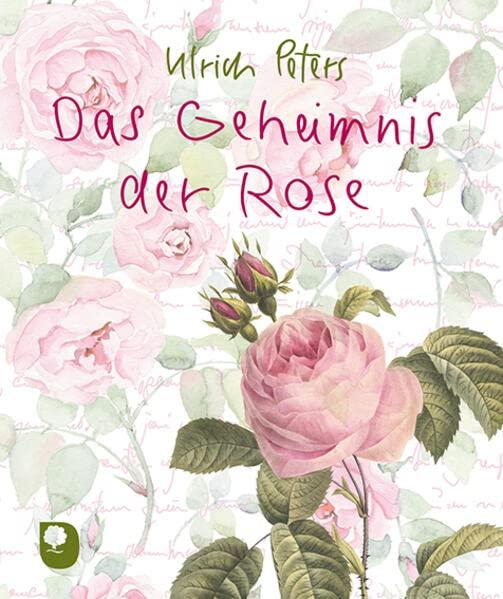 Das Geheimnis der Rose (Eschbacher Mini)