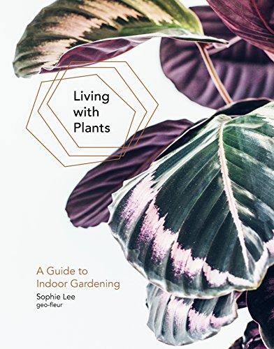 Living With Plants: A Guide To Indoor Gardening