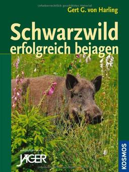 Schwarzwild erfolgreich bejagen: Tipps und Tricks für die Jagdpraxis