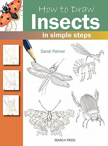 How to Draw Insects: in simple steps