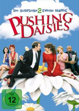 Pushing Daisies - Die komplette zweite Staffel (4 DVDs)