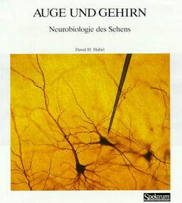 Spektrum-Bibliothek, Bd.20: Auge und Gehirn. Neurobiologie des Sehens