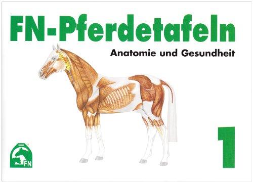 FN-Pferdetafeln. Mappe 1. Anatomie und Gesundheit: Enthält Tafel 1 - 13: Für Pferde giftige Pflanzen. Zäumungen. Farben und Abzeichen. Sitz des ... Atmungsorgane. Lage erkennbarer Veränderungen