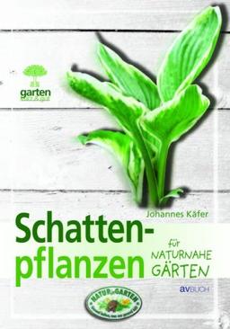 Schattenpflanzen für naturnahe Gärten