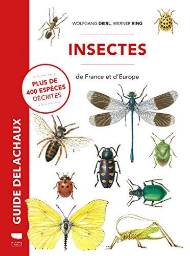 Insectes de France et d'Europe