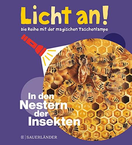 In den Nestern der Insekten: Licht an! (Licht an! Die Reihe mit der magischen Taschenlampe, Band 11)