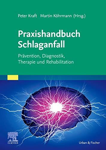 Praxishandbuch Schlaganfall: Prävention, Diagnostik, Therapie und Rehabilitation