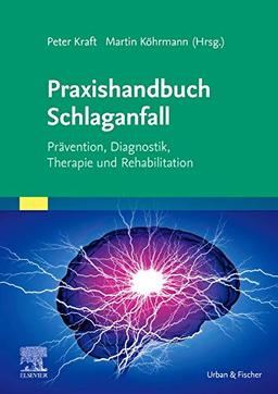 Praxishandbuch Schlaganfall: Prävention, Diagnostik, Therapie und Rehabilitation