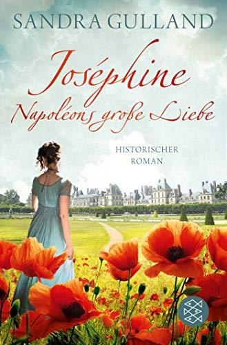 Joséphine - Napoléons große Liebe: Roman (Josephine)