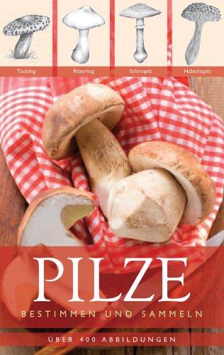 Pilze: Bestimmen und Sammeln