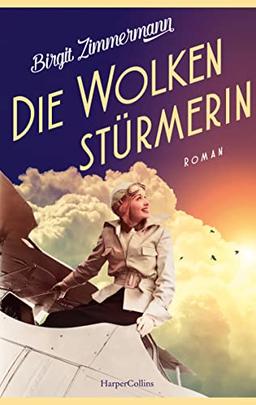 Die Wolkenstürmerin: Roman