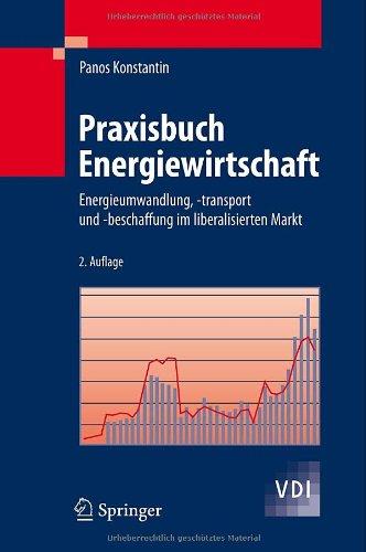 Praxisbuch Energiewirtschaft: Energieumwandlung, -transport und -beschaffung im liberalisierten Markt (VDI-Buch)