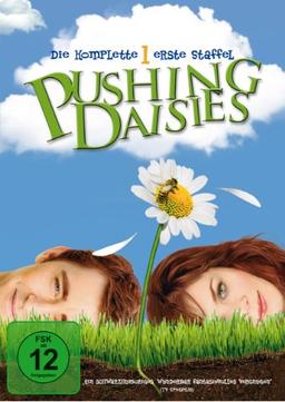 Pushing Daisies - Die komplette erste Staffel [3 DVDs]