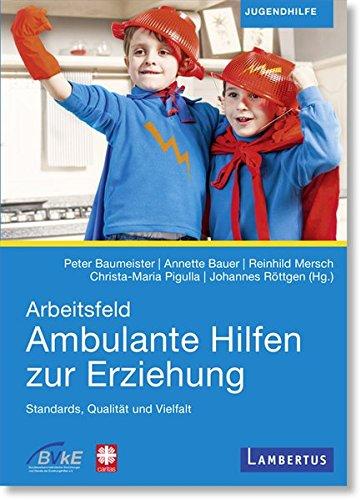 Arbeitsfeld Ambulante Hilfen der Erziehung: Standards, Qualität und Vielfalt