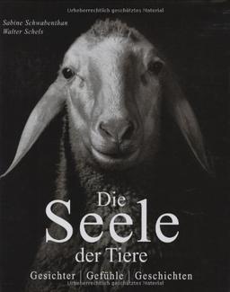 Die Seele der Tiere: Gesichter . Gefühle . Geschichten