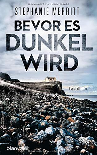 Bevor es dunkel wird: Psychothriller