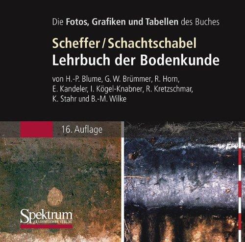 Scheffer/Schachtschabel: Lehrbuch der Bodenkunde