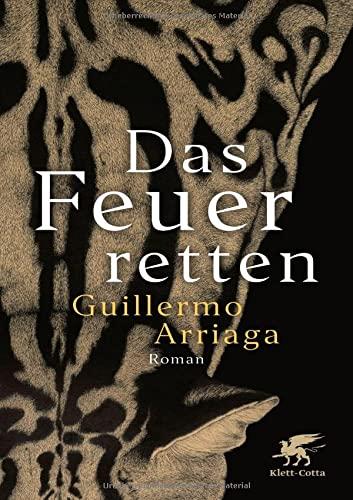 Das Feuer retten: Roman