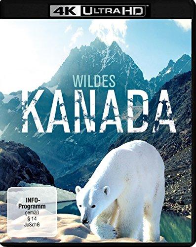 Wildes Kanada  (4K Ultra HD) [Blu-ray]