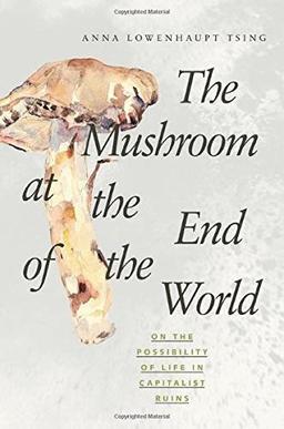 Mushroom at the End of the World: On the Possibility of Life in Capitalist Ruins