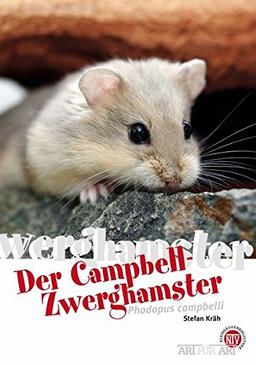 Campbell-Zwerghamster (Art für Art)