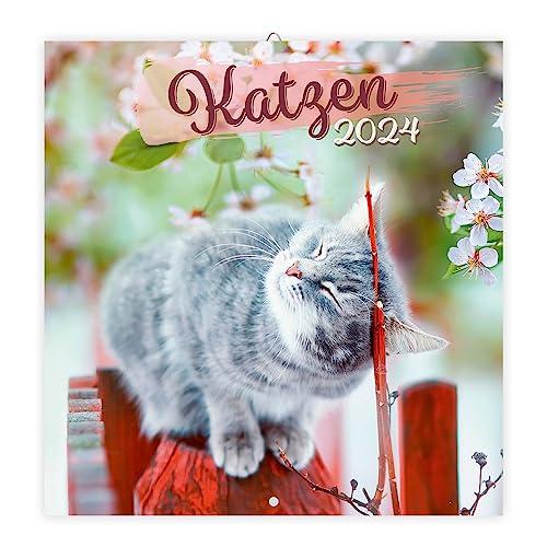 Trötsch Broschürenkalender Katzen 2024: Wandplaner