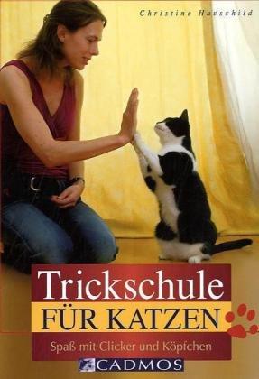 Trickschule für Katzen: Spaß mit Clicker und Köpfchen