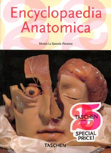 Encyclopaedia anatomica